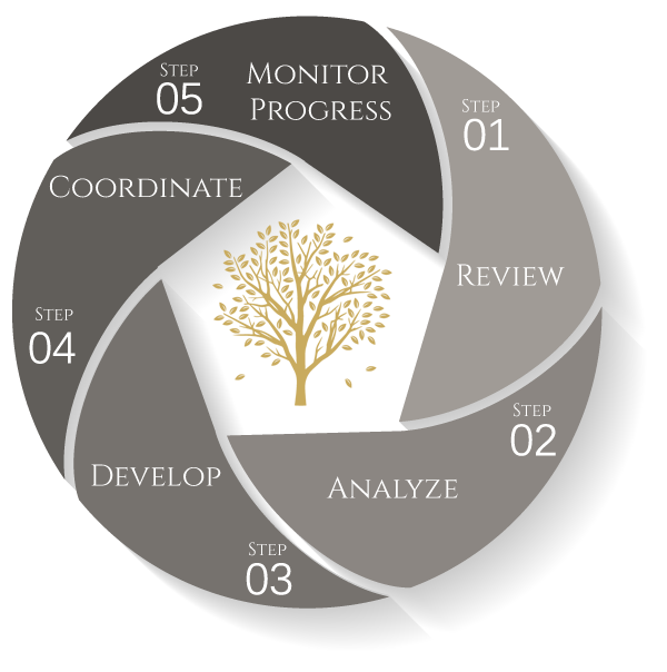 Process Graphic